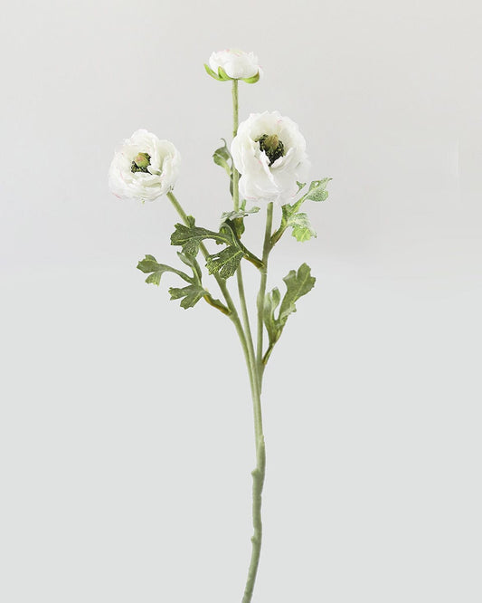 White Ranunculus 18.5"