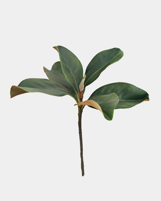 Faux Magnolia Leaves 14"