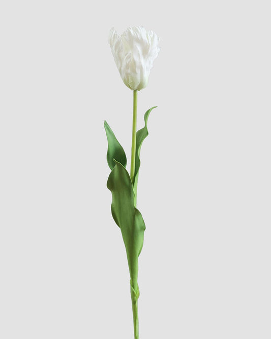 Real Touch White Parrot Tulip 27"