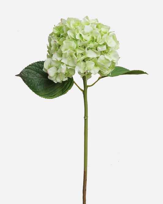 Real Touch Green Hydrangea 18"