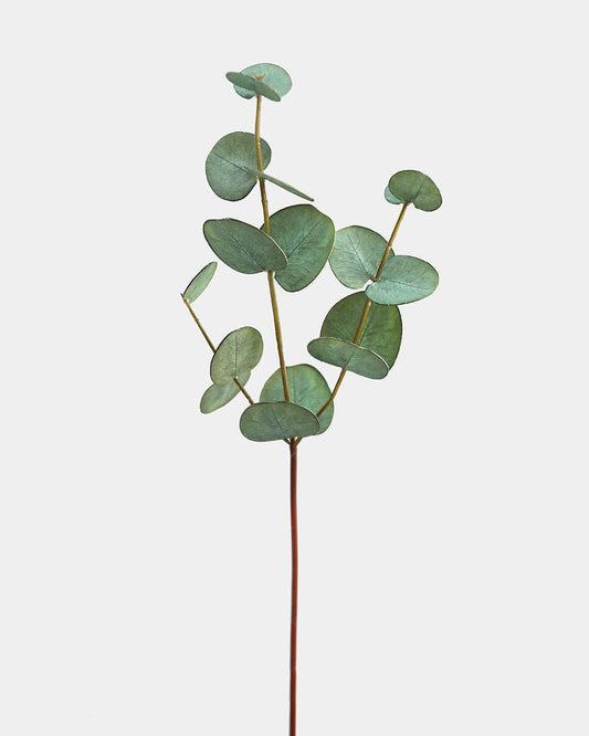 Eucalyptus 18"
