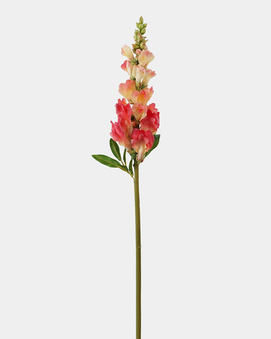 Real Touch Coral Snapdragon 23"