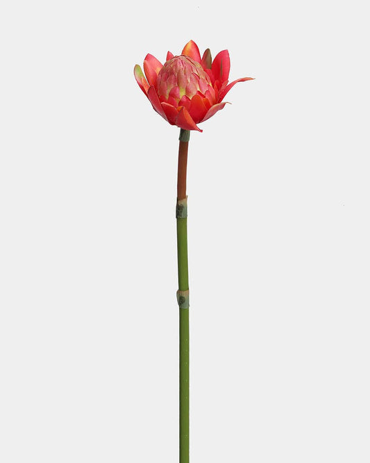 Faux Red Orange Waratah Protea 16.5"