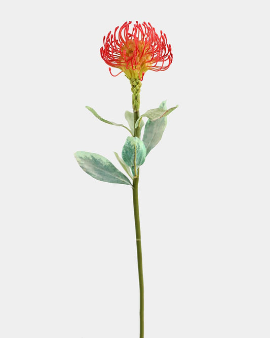Faux Pincushion Needle Protea 24"