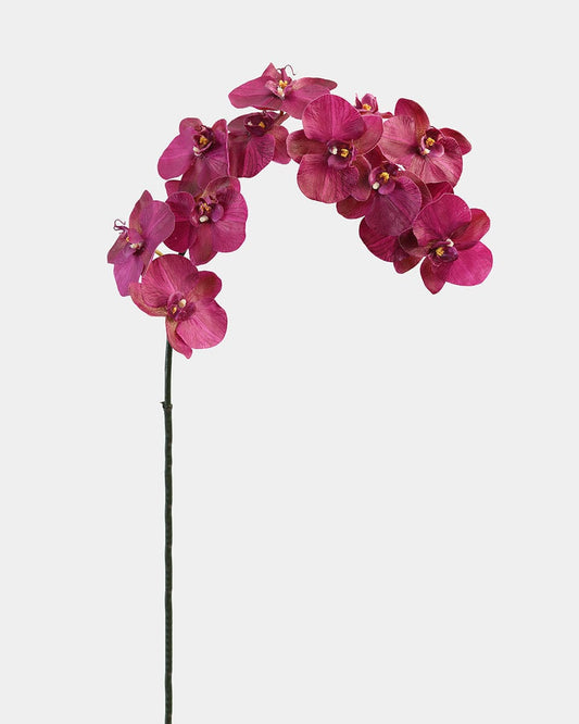 Deep Magenta Phalaenopsis Orchid 34"