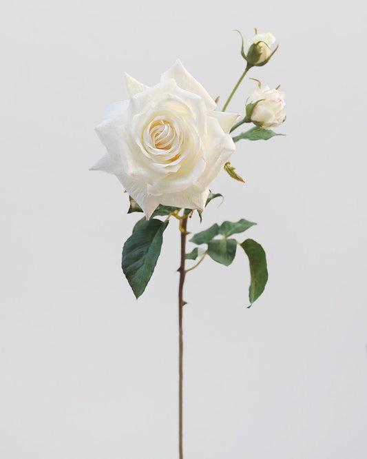 Real Touch Prestige White Rose 22"