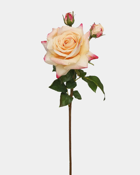 Real Touch Prestige Peach Rose 22"