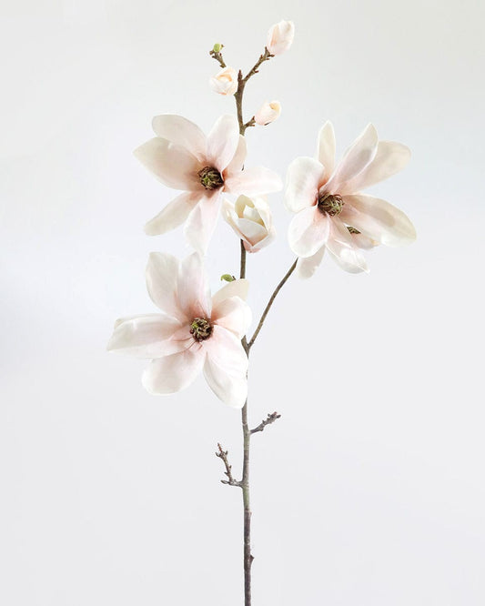 Blush Magnolia Blossom Branch 35"