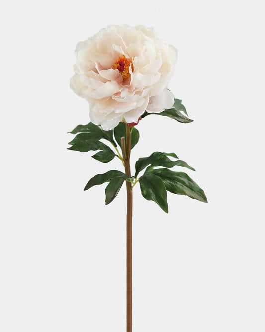 Pale Blush Real Touch Peony 20.5"