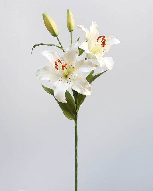 White Stargazer Lily 29"