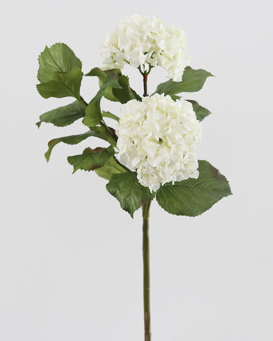White Double Hydrangea 36"