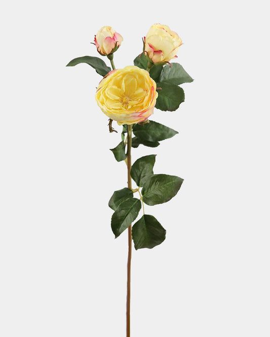 Yellow English Rose 22"