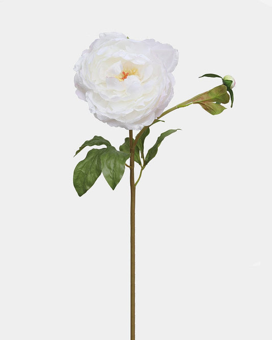 White Peony 19.5"