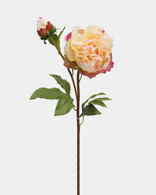 Yellow Peony 19.5"