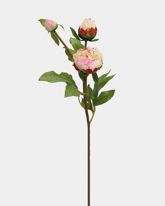 Soft Yellow Peony 19"