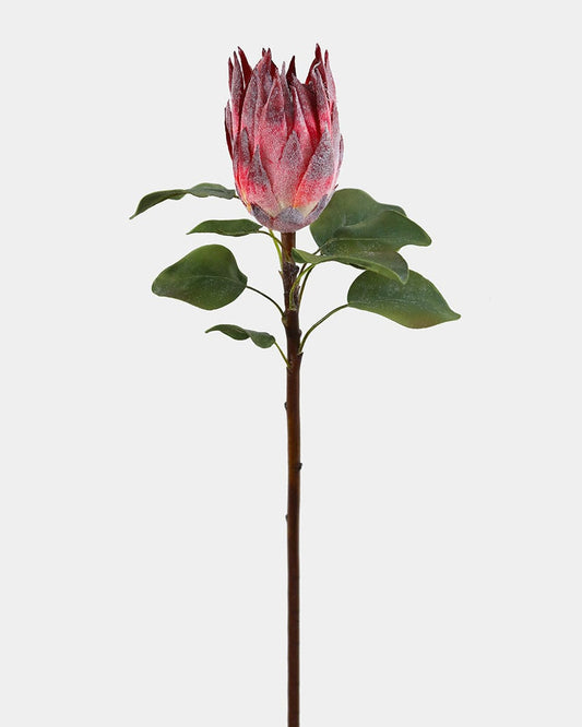 Burgundy Faux King Protea 23.5"