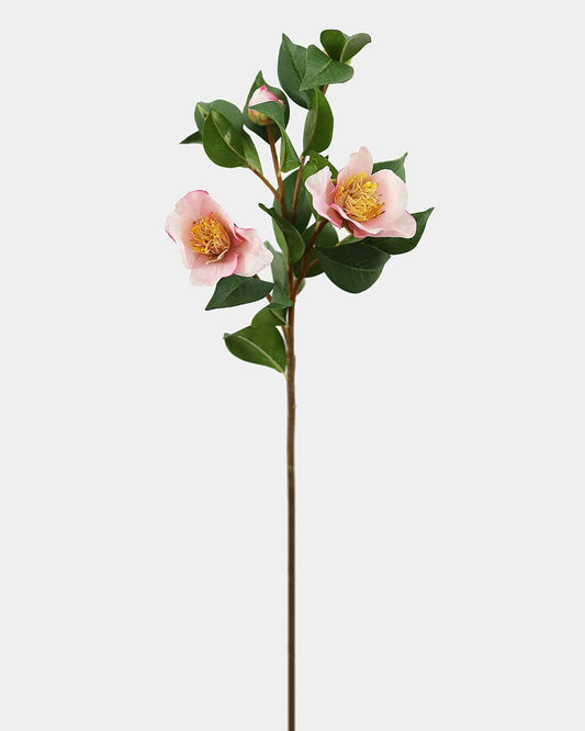 Pink Sasanqua Camellia 26.5"