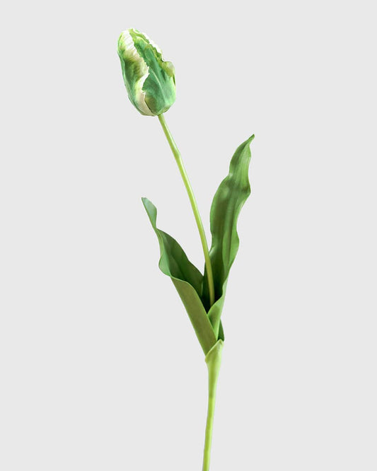 Real Touch Tulip Bud in Green 27"