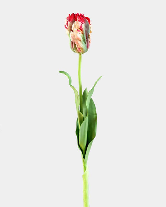 Real Touch Lemon Parrot Tulip 27"