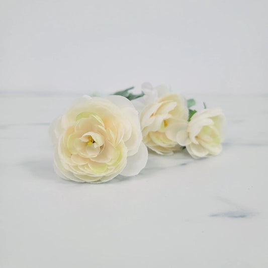 Ranunculus | Single Stem