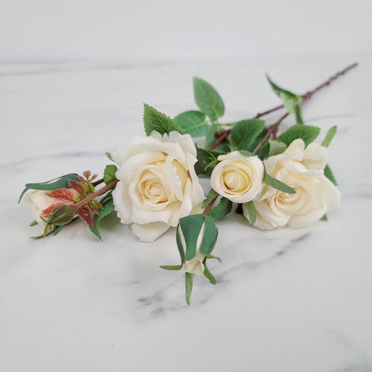 Spray Rose | Single Stem