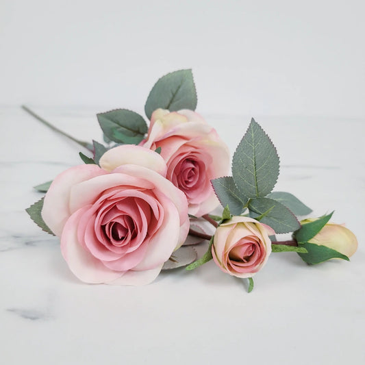 Rose | Single Stem