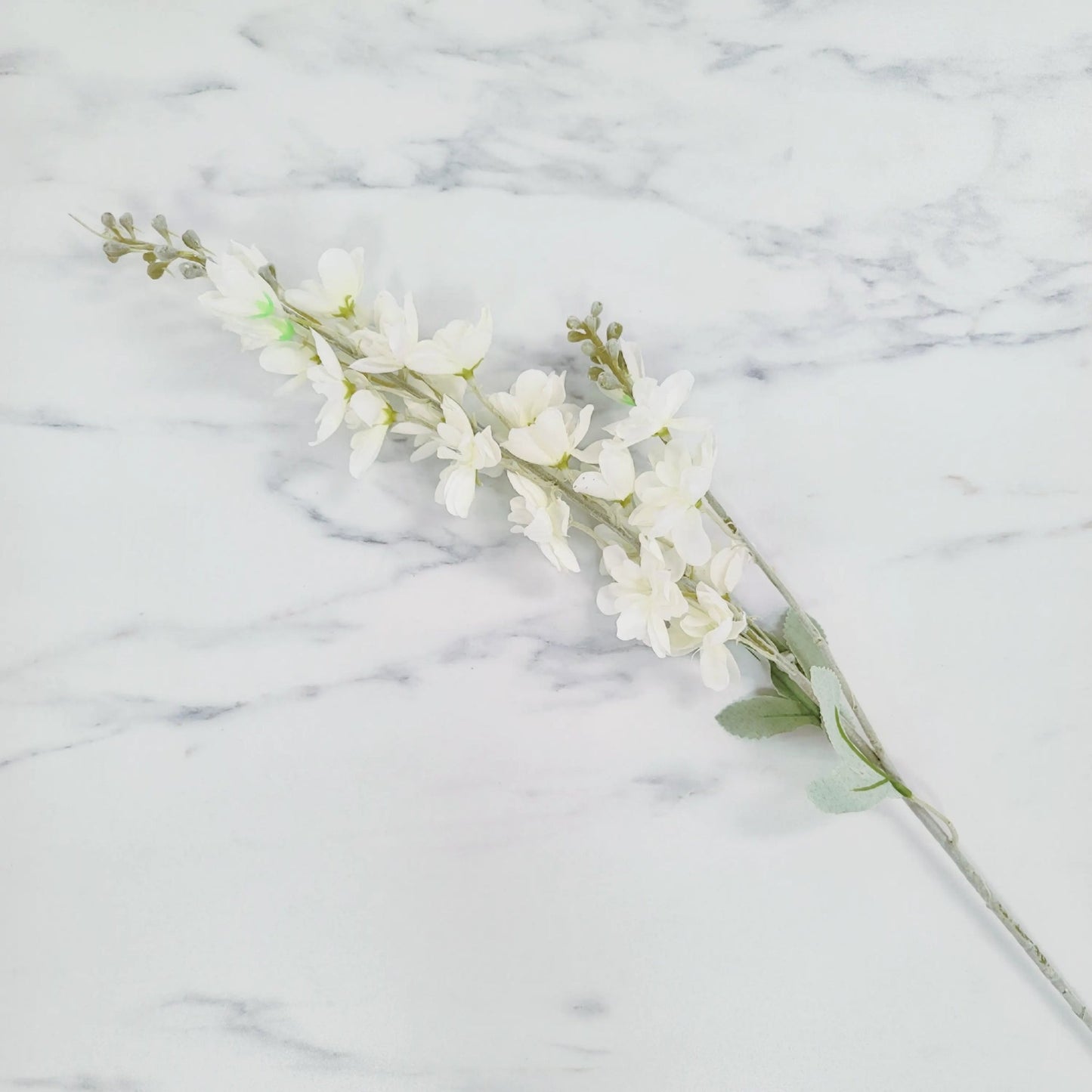 Delphinium | Single Stem