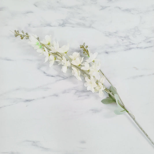 Delphinium | Single Stem