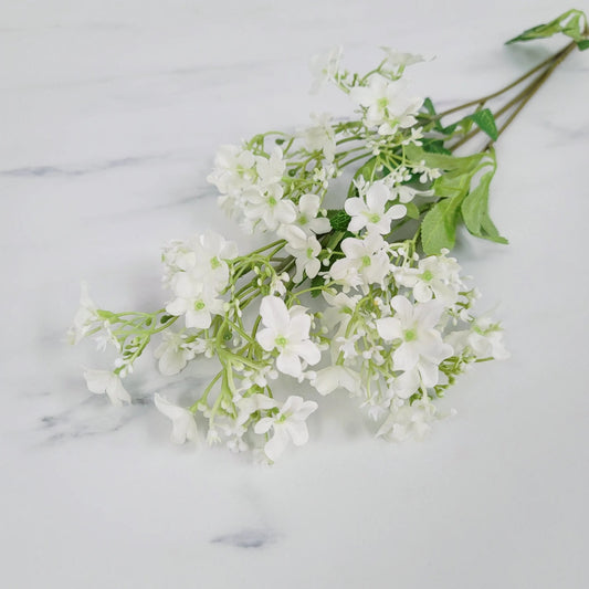 Star Flower | Single Stem