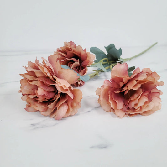 Peony | Single Stem