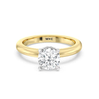 1 1/2 cttw Round Cut Modern Fine Line Hidden Halo Engagement Ring