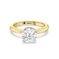 2 cttw Round Cut Modern Fine Line Hidden Halo Engagement Ring
