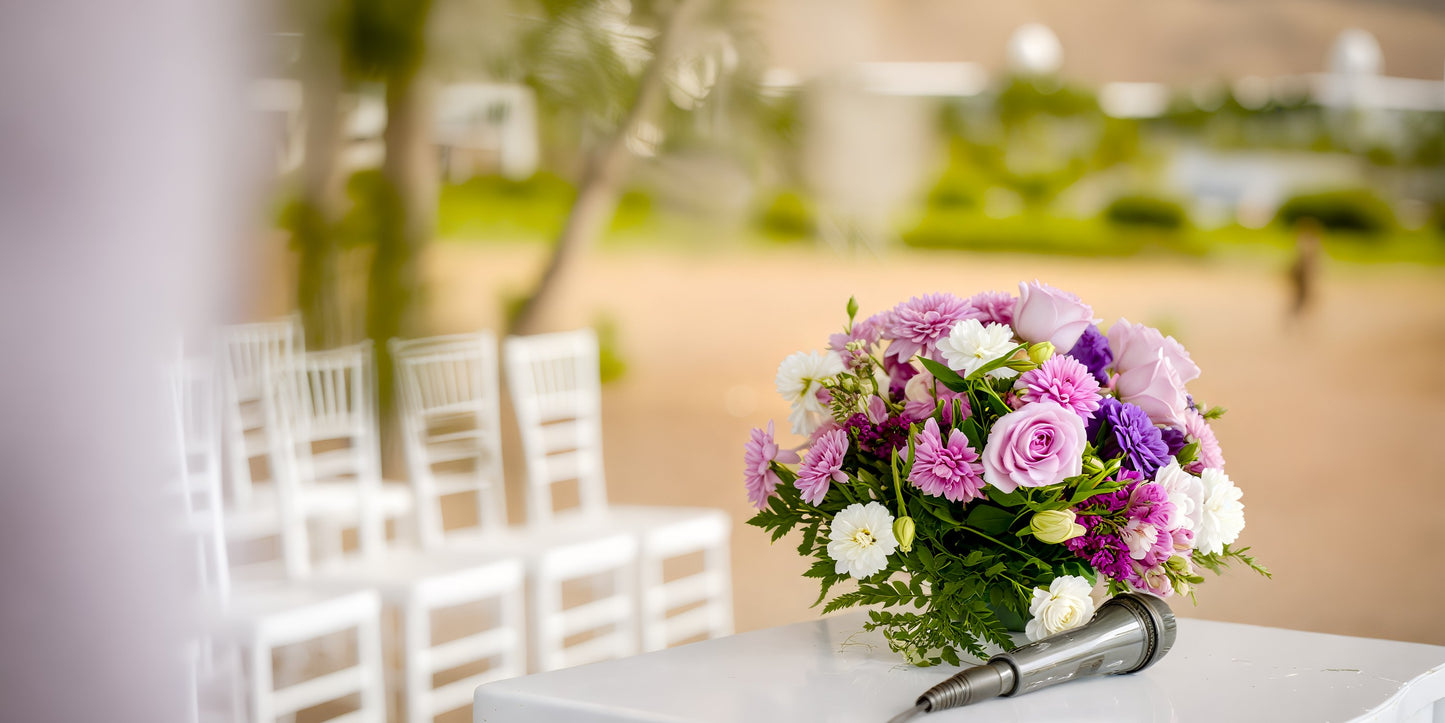 Hotel Riu Guanacaste Destination Wedding Package