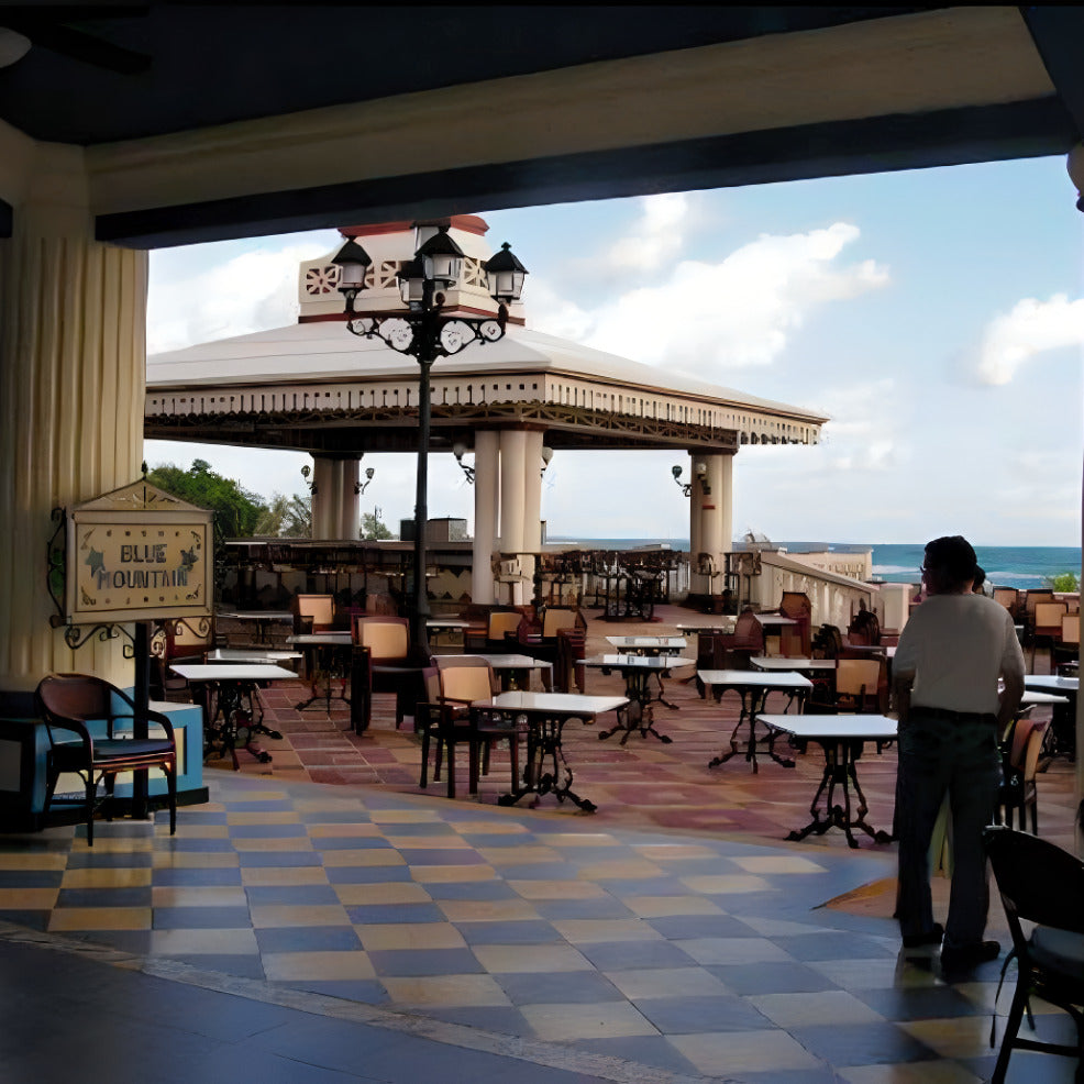 Hotel RIU Ocho Rios Destination Wedding Package