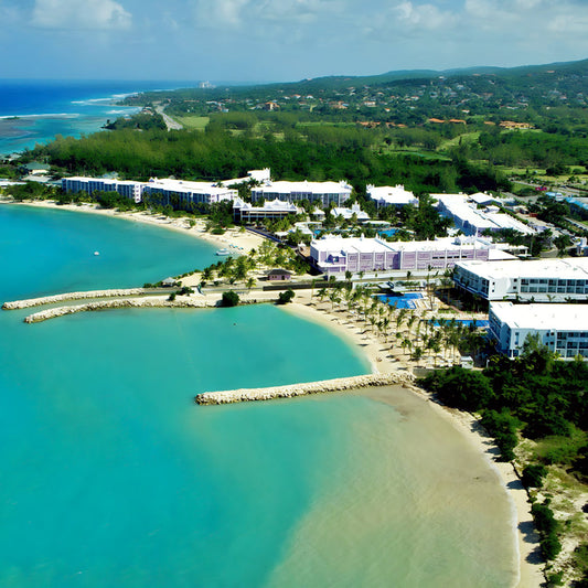 Hotel Riu Palace Jamaica Destination Wedding Package