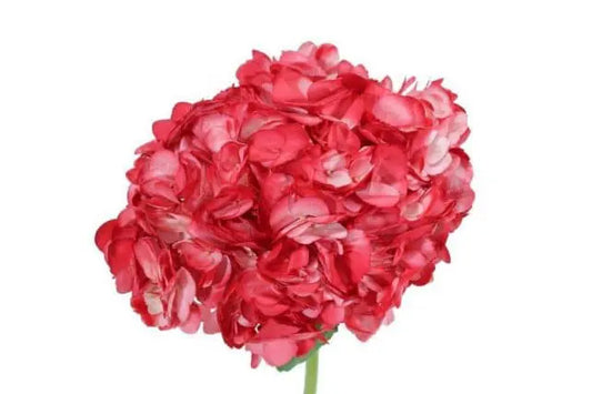 Red Hydrangea, 30 stems
