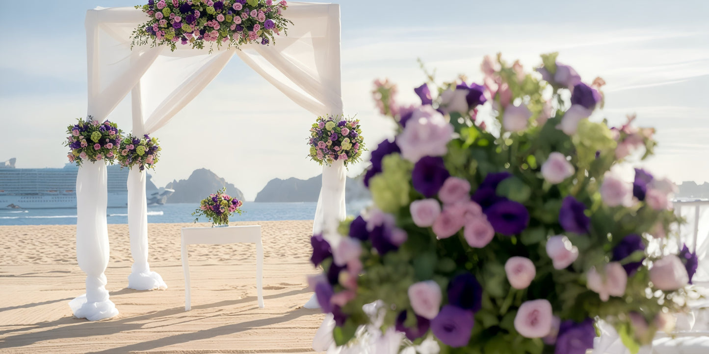 Hotel Riu Palace Cabo San Lucas Destination Wedding Package