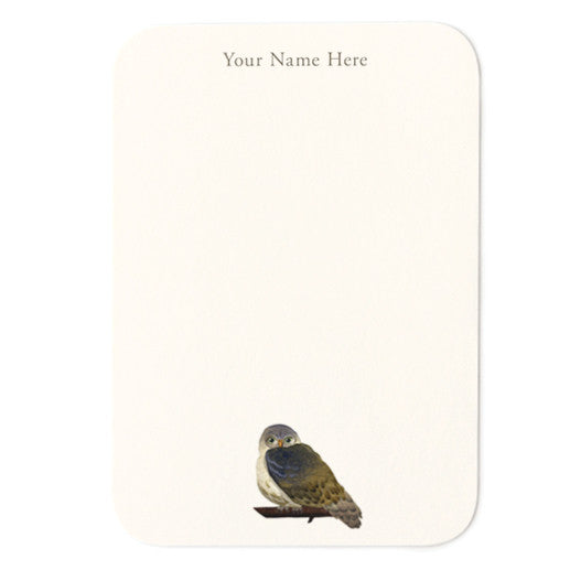 Elf Owl Personalized Small Note Cards