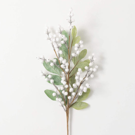 Lambs Ear And Berry Spray