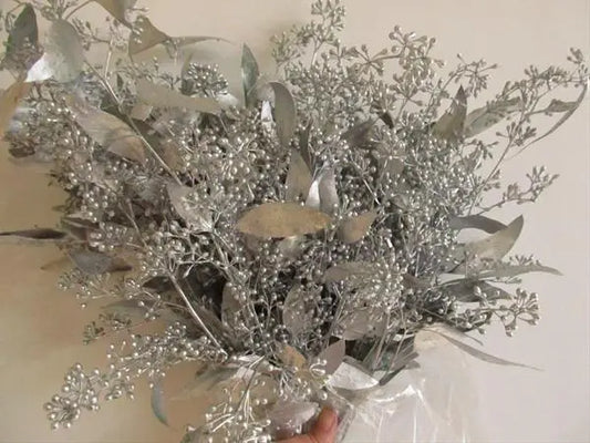 Silver Seeded Eucalyptus 10 Bunch