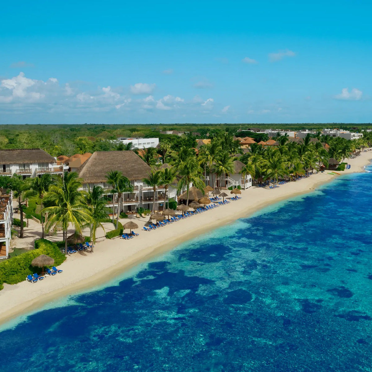 Sunscape Sabor Cozumel Destination Wedding Package