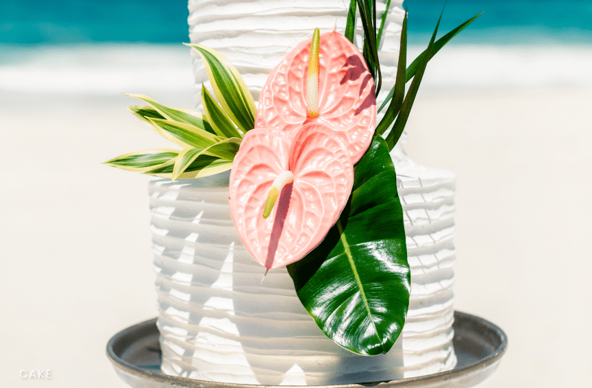 Tropical Paradise Wedding Package