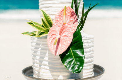 Tropical Paradise Wedding Package