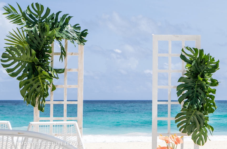 Tropical Paradise Wedding Package