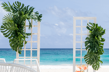 Tropical Paradise Wedding Package