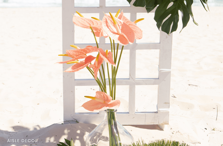 Tropical Paradise Wedding Package
