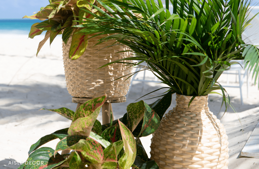 Tropical Paradise Wedding Package