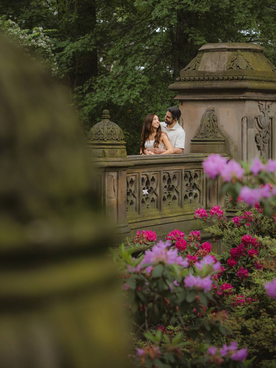 Videos & Photos Central Park