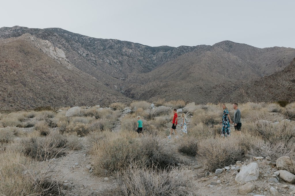 Aliza in Palm Desert: Proposal / Engagement Photography