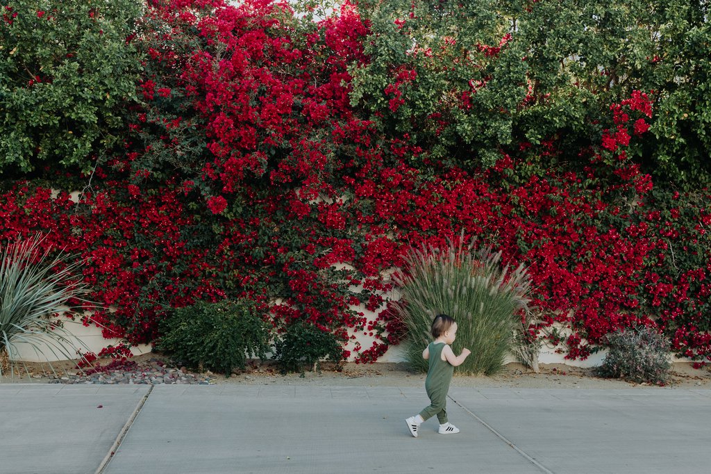 Aliza in Palm Desert: Proposal / Engagement Photography